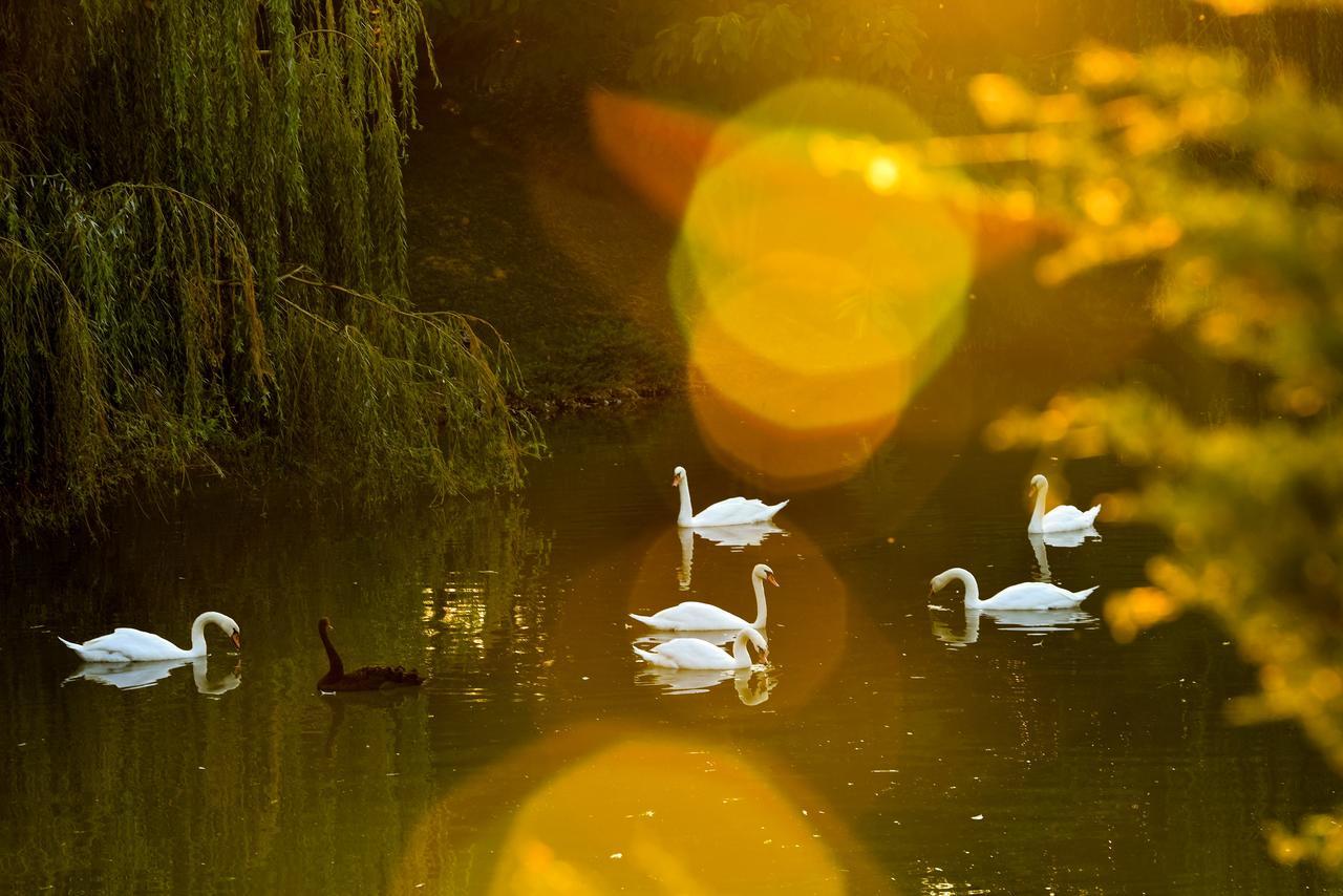 Lacul Verde Resort Плоешти Экстерьер фото