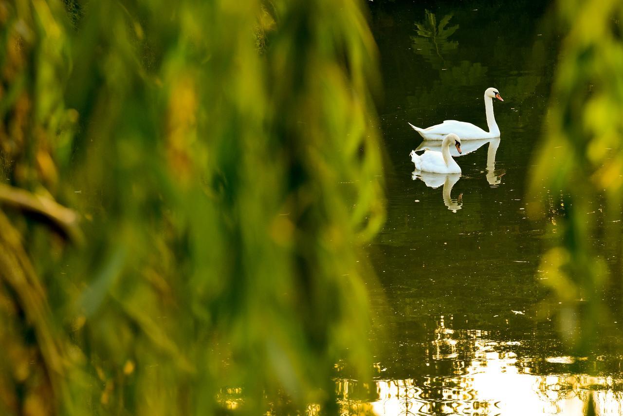 Lacul Verde Resort Плоешти Экстерьер фото